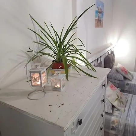 Apartment In Love